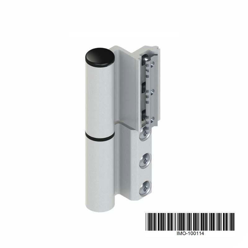 Security Hinges